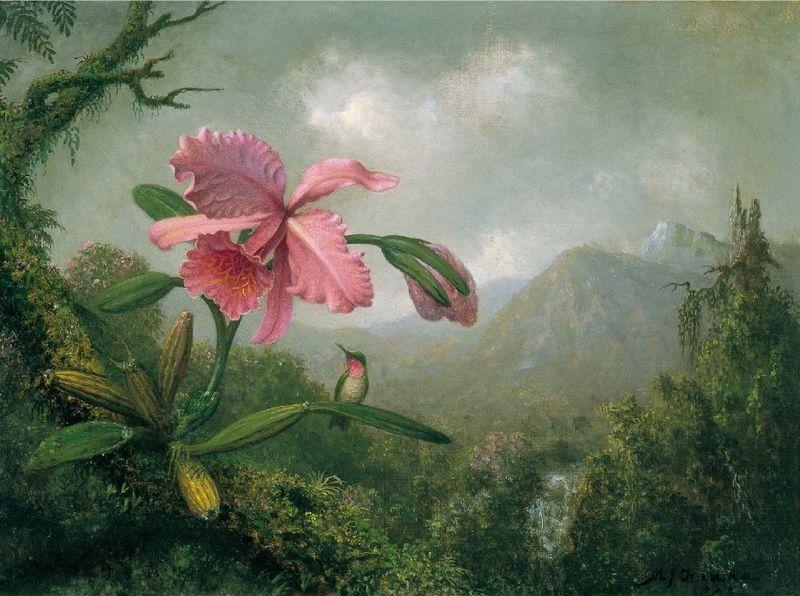 Martin Johnson Heade Orchid and Hummingbird near a Mountain Waterfall